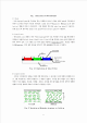 TFT-LCD process   (2 )